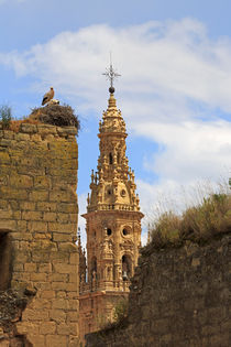 Storks nest on the walls in Sto Domingo de la Calzada, Spain by Louise Heusinkveld