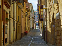 Narrow Streets of Getaria, Basque Country by Louise Heusinkveld