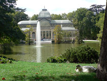 Palacio de Cristal, Parque del Retiro, Madrid by Sabine Radtke