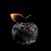 The Apple by Stanislav Aristov