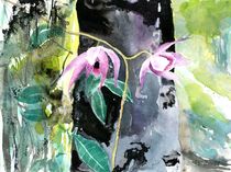 Orchidee pink, Borneo, 2014 von Eva Pötzelsberger