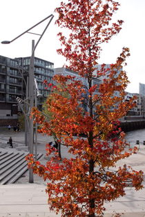 Hamburg, Herbst Hafencity - autumn Harbourcity 3 von Marc Heiligenstein