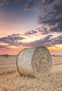 Strohballen II by photoart-hartmann