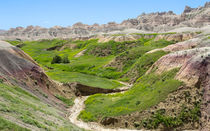 Spring In The Badlands von John Bailey