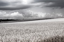 Aufziehende Wetter von Bastian  Kienitz