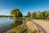 Rheinaue bei Heidenfahrt 7 von Erhard Hess