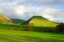 Thorpe Cloud from Bunster Hill by Rod Johnson