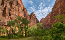 Approach To Zion Canyon Narrows by John Bailey