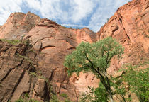 Zion Canyon Walls by John Bailey