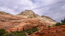 Colorful Mesas At Zion National Park von John Bailey