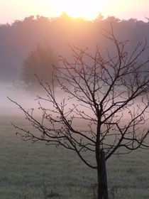 Sonnenaufgang von Ralf Wolter