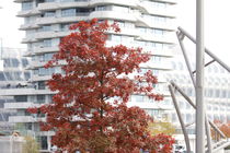 Hamburg, Herbst Hafencity - autumn Harbourcity 6 by Marc Heiligenstein