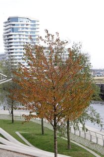 Hamburg, Herbst Hafencity - autumn Harbourcity 5 by Marc Heiligenstein