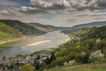 Rheintal bei Bacharach 22 by Erhard Hess