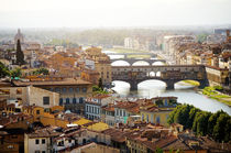 Florence panoramic view by Tania Lerro