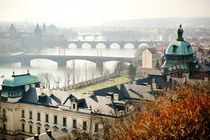 Vltava from Letna park, Prague von Tania Lerro