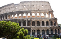 Colosseum, Rome von Tania Lerro