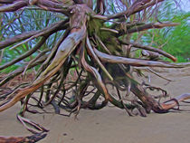 HamburgDigitals - Roots - © adMeyer by Christian Meyer-Pedersen