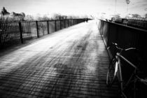 Albertbrücke Dresden von Dorit Fuhg