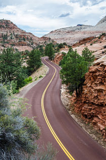 Bergstrasse im Zion Canyon von caladoart