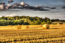 The Farm In Summer by David Pyatt