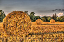 The Straw Bales by David Pyatt