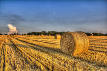 Summer on the farm von David Pyatt