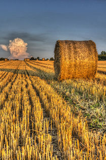 The farm and the face in the cloud von David Pyatt