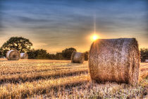 Summers Evening Farm von David Pyatt