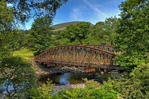 Railway Bridge by Roger Green