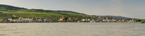 Stadtpanorama Rüdesheim (5) von Erhard Hess