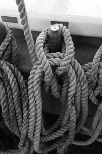 Belaying pins on a tall ship and ropes - monochrome by Intensivelight Panorama-Edition
