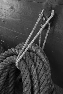 Ropes fastened on a belaying pin by Intensivelight Panorama-Edition