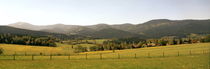 Bavarian forest landscape von Intensivelight Panorama-Edition