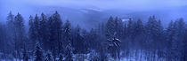 Bavarian forest in winter von Intensivelight Panorama-Edition