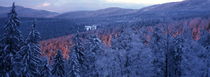 Snowy forests at sunset by Intensivelight Panorama-Edition