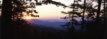 Bavarian forest sunset von Intensivelight Panorama-Edition