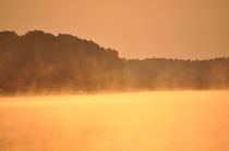 Morgennebel im Sonnenaufgang by alana