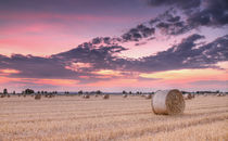 Strohballen III by photoart-hartmann