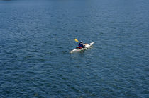 Lone Kayaker Vancouver von John Mitchell