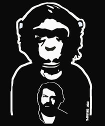 Bud Spencer by POP CHIMPS von Marisa Rosato