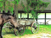 Auf dem Lande -In the country (rural) von Wolfgang Pfensig