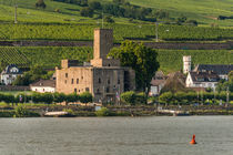 Brömserburg in Rüdesheim by Erhard Hess