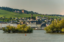 Rüdesheim 3 by Erhard Hess