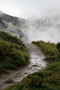 Alpenwanderweg by jaybe