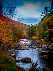 Autumn River Vertical Format by Jim DeLillo