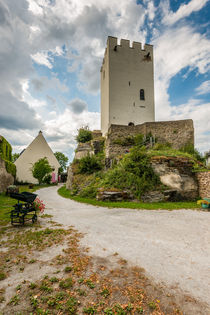 Burg Sterrenberg-Innenhof 5 von Erhard Hess