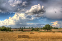 A Summers Evening Farm von David Pyatt