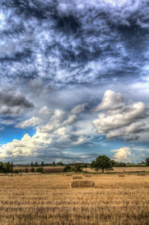 The farm in the summertime  by David Pyatt