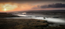 Penclawdd marsh sunset von Leighton Collins